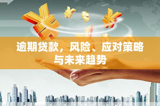秦皇岛逾期贷款，风险、应对策略与未来趋势