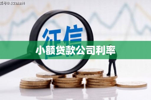 秦皇岛小额贷款公司利率