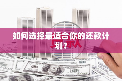 秦皇岛如何选择最适合你的还款计划？