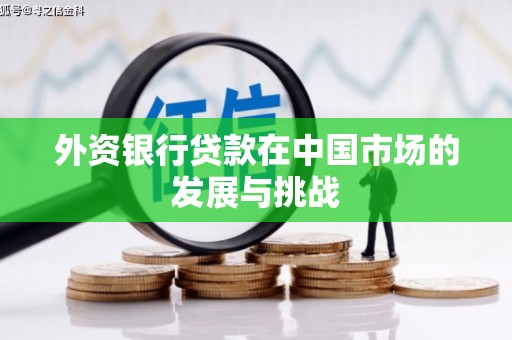 秦皇岛外资银行贷款在中国市场的发展与挑战