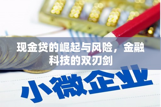 秦皇岛现金贷的崛起与风险，金融科技的双刃剑