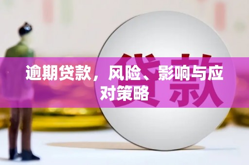秦皇岛逾期贷款，风险、影响与应对策略
