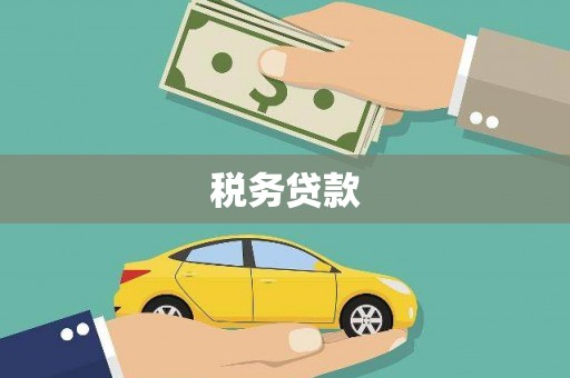 秦皇岛税务贷款