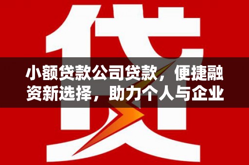 秦皇岛小额贷款公司贷款，便捷融资新选择，助力个人与企业成长