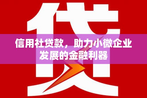 秦皇岛信用社贷款，助力小微企业发展的金融利器
