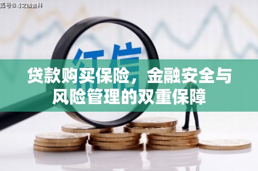 秦皇岛贷款购买保险，金融安全与风险管理的双重保障