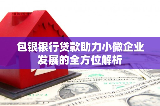 秦皇岛包银银行贷款助力小微企业发展的全方位解析