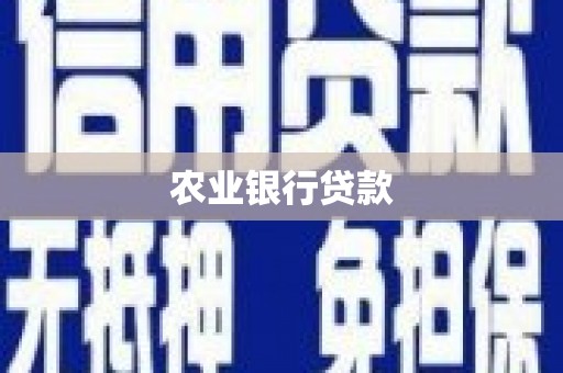 秦皇岛农业银行贷款