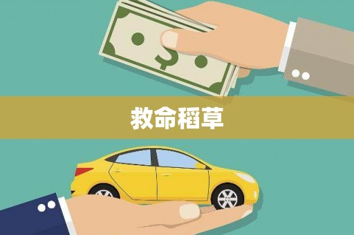 秦皇岛救命稻草
