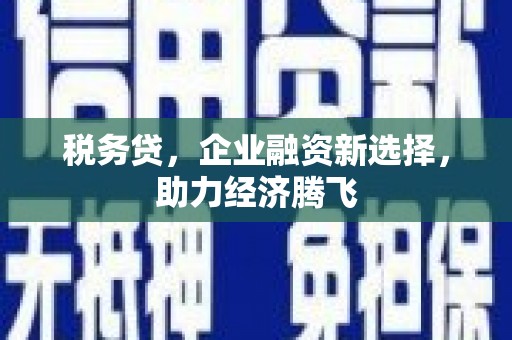 秦皇岛税务贷，企业融资新选择，助力经济腾飞