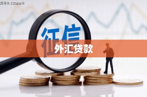 秦皇岛外汇贷款