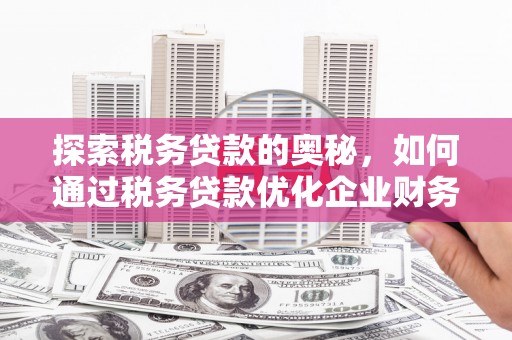 秦皇岛探索税务贷款的奥秘，如何通过税务贷款优化企业财务