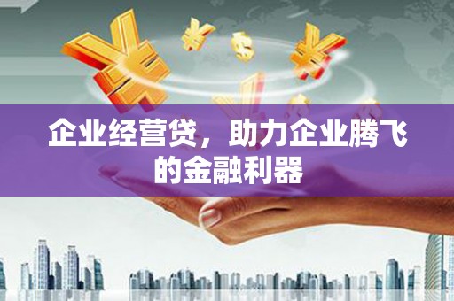 秦皇岛企业经营贷，助力企业腾飞的金融利器