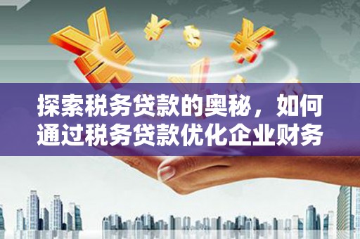 秦皇岛探索税务贷款的奥秘，如何通过税务贷款优化企业财务