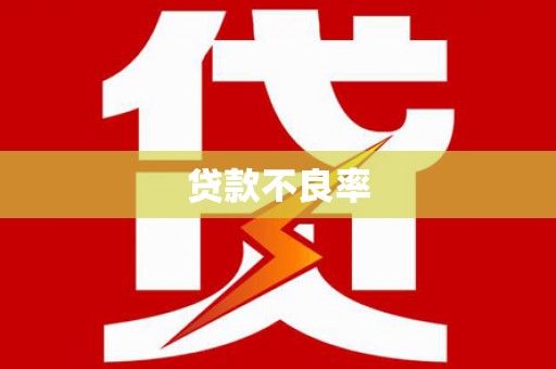 秦皇岛贷款不良率