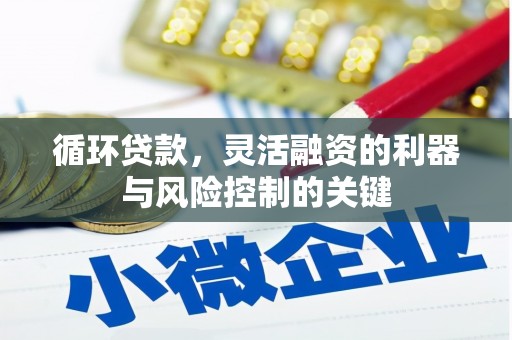 秦皇岛循环贷款，灵活融资的利器与风险控制的关键
