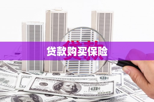 秦皇岛贷款购买保险