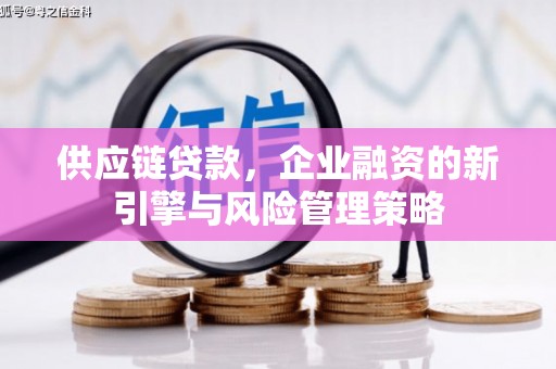 秦皇岛供应链贷款，企业融资的新引擎与风险管理策略