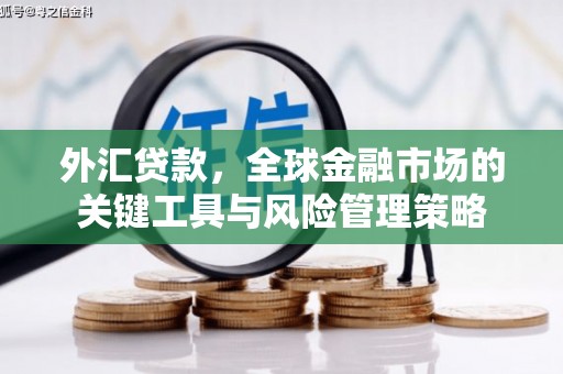秦皇岛外汇贷款，全球金融市场的关键工具与风险管理策略