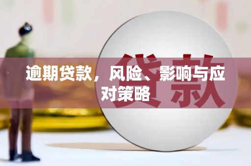 秦皇岛逾期贷款，风险、影响与应对策略