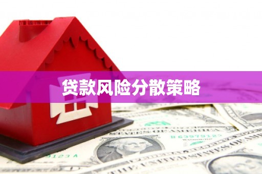 秦皇岛贷款风险分散策略