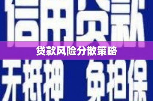 秦皇岛贷款风险分散策略