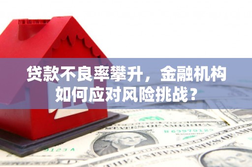秦皇岛贷款不良率攀升，金融机构如何应对风险挑战？