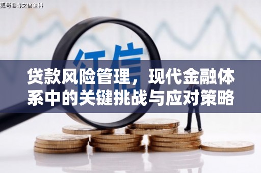 秦皇岛贷款风险管理，现代金融体系中的关键挑战与应对策略