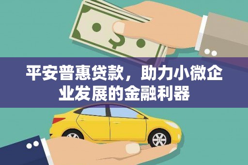 秦皇岛平安普惠贷款，助力小微企业发展的金融利器