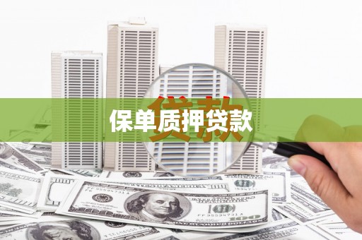 秦皇岛保单质押贷款