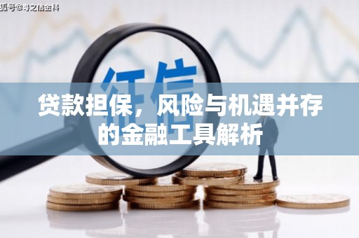 秦皇岛贷款担保，风险与机遇并存的金融工具解析