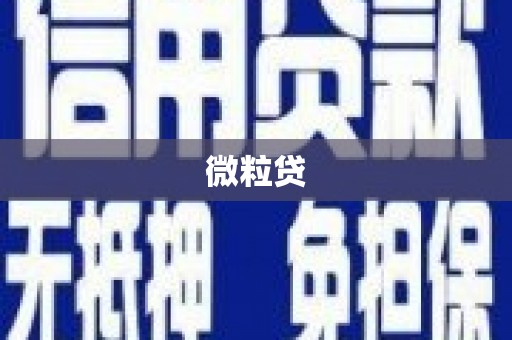 秦皇岛微粒贷