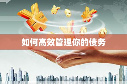 秦皇岛如何高效管理你的债务