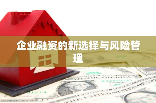 秦皇岛企业融资的新选择与风险管理