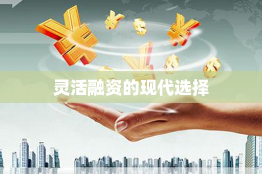 秦皇岛灵活融资的现代选择