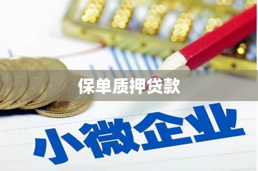 秦皇岛保单质押贷款