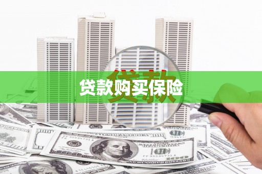秦皇岛贷款购买保险