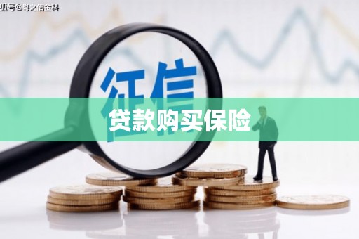 秦皇岛贷款购买保险