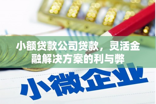 秦皇岛小额贷款公司贷款，灵活金融解决方案的利与弊