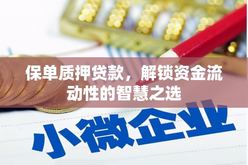 秦皇岛保单质押贷款，解锁资金流动性的智慧之选