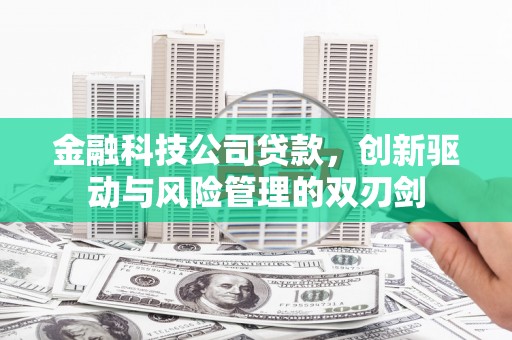秦皇岛金融科技公司贷款，创新驱动与风险管理的双刃剑