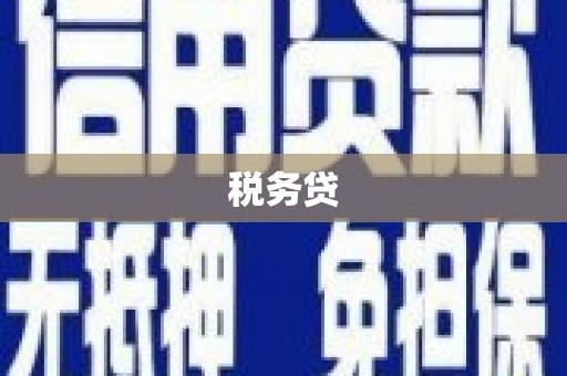 秦皇岛税务贷